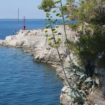 sveta marina